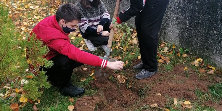 „Под стряхата на родното школo’“