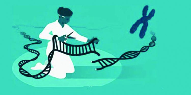 Повелителките на кода