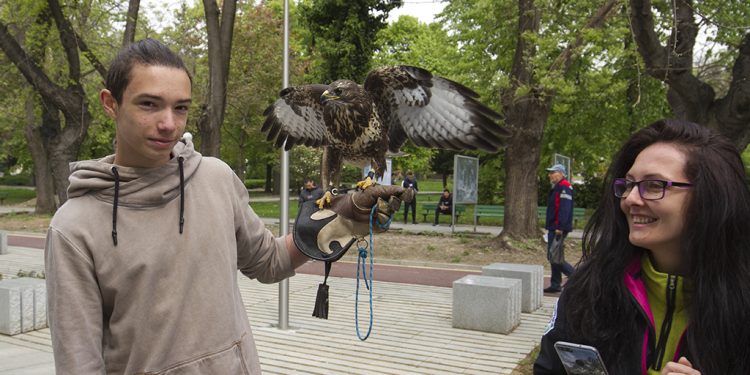 Панорама на професионалното в Стара Загора