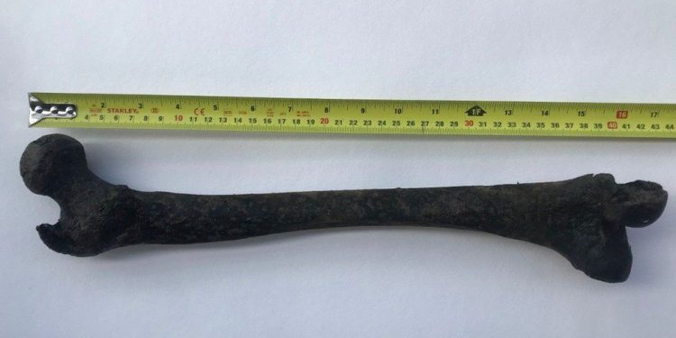 Откриха 5000-годишна човешка кост в Темза