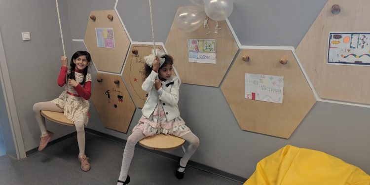 Как да изпратим котка на Луната