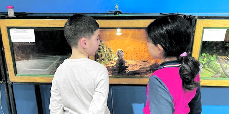 Влечуги от джунглата гостуват на живо в „Музейко“