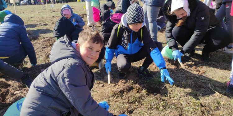 Гората на децата