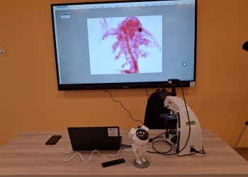 СУ „Васил Левски“ в Чирпан съчетава STEM среда и модерна спортна база