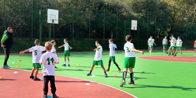 Професиите „помощник-треньор по вид спорт“ и „треньор по вид спорт“ да бъдат включени в Списъка на регулираните професии в Република България предвижда проект на Решение на Министерския съвет за изменение и допълнение на РМС 619 от 2009 г. за приемане на Списъка, публикуван за обществено обсъждане